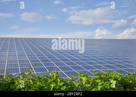 Station de panneaux solaires blu ciel et plantes vertes Banque D'Images