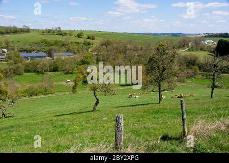 Campagne dans les montagnes Volcanic Eifel ou Vulkan Eifel en Allemagne Banque D'Images