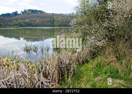 Lac (Immerather maar) dans les montagnes Volcanic Eifel ou Vulkan Eifel en Allemagne Banque D'Images