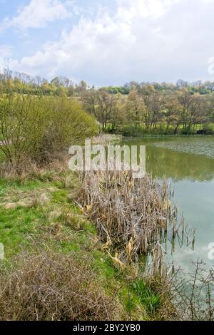 Lac (Immerather maar) dans les montagnes Volcanic Eifel ou Vulkan Eifel en Allemagne Banque D'Images