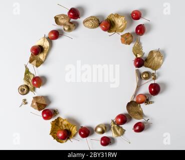 Composition automnale de feuilles dorées et de pommes sauvages rouges mûres.Thème d'automne, Halloween, ou action de grâces concept de fête.Motif floral à monture ronde. Banque D'Images