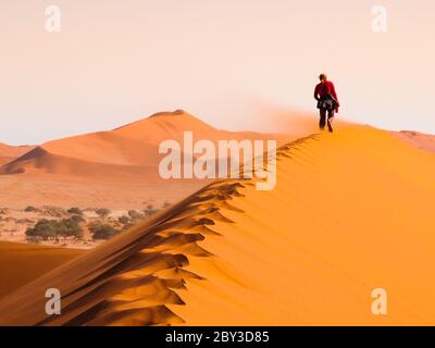 Femme marchant sur la crête de dune rouge par temps venteux, Sossusvlei, désert du Namib, Namibie. Banque D'Images