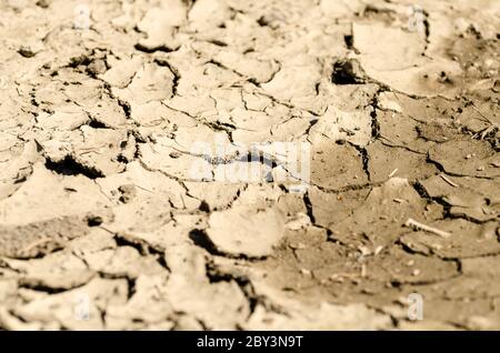 Sol boueux sec et fissuré en raison de la température chaude, boue séchée, vue à angle bas, campagne, Allemagne Banque D'Images