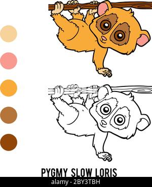 Livre de coloriage pour enfants, Pygmy Slow loris Illustration de Vecteur