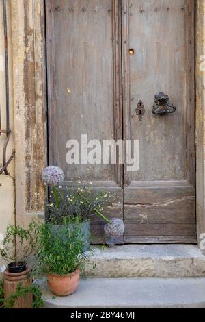 Une belle exposition de plantes de marche de porte trouvée dans un petit village en Provence, France Banque D'Images