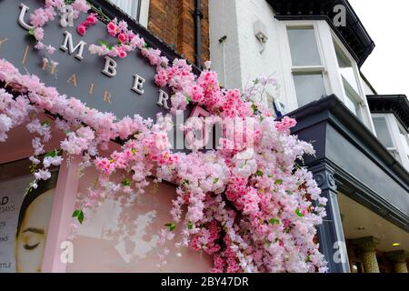 Jolie fleur rose artificielle de cerisier vu parsemé sur une partie du magasin d'un salon de coiffure dans une rue élevée. Banque D'Images