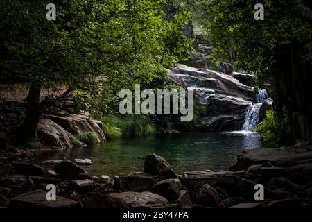 Cascade descendant un ruisseau au milieu d'une forêt pittoresque avec la lumière magique qui traverse les feuilles d'arbre vert Banque D'Images