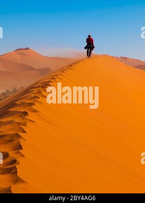 Femme marchant sur la crête de dune rouge par temps venteux, Sossusvlei, désert du Namib, Namibie. Banque D'Images