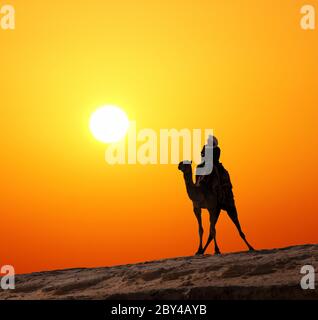 bédouin sur une silhouette de chameau contre le lever du soleil Banque D'Images
