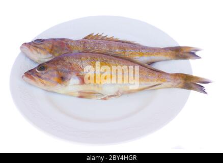 poisson frais sur l'assiette Banque D'Images