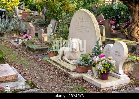 Tombes du cimetière des animaux de Paris à Asnières-sur-Seine, France. Le « cimetière des chiens et autres animaux domestiques » est le plus ancien cimetière pour animaux de compagnie du Banque D'Images