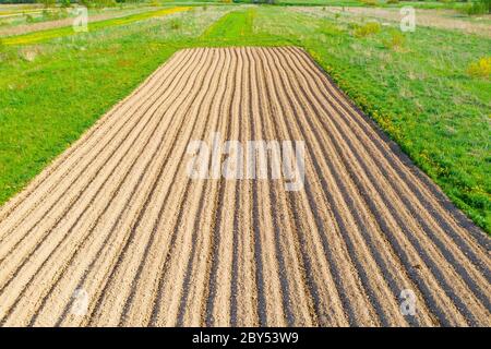 Labour des sillons de terre pour la plantation de plantes agronomiques dans la campagne, vue aérienne d'en haut Banque D'Images