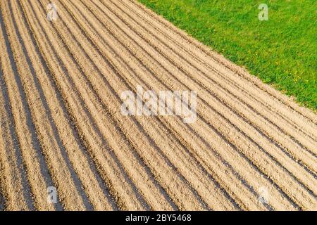 Labour des sillons de terre pour la plantation de plantes agronomiques dans la campagne, vue aérienne d'en haut Banque D'Images