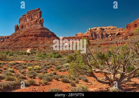 Formations rocheuses de grès à Valley of the Gods, monument national Bears Ears, Utah, États-Unis Banque D'Images