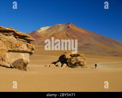 Formations rocheuses dans le désert de montagne de Cordillera de Lipez, Bolivie Banque D'Images