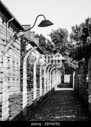 Clôture en barbelés avec lampes de garde et tour dans le camp de concentration, Auschwitz, ou Oswiecim, Pologne. Banque D'Images