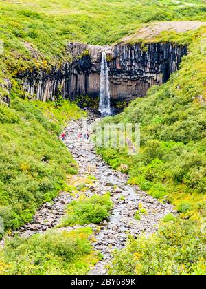 Cascade de Svartifoss avec colonnes de basalte, parc national de Skaftafell, Islande. Banque D'Images