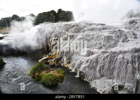 pohutu geyser, vallée thermale de whakarewarewa, rotorua, nouvelle-zélande Banque D'Images