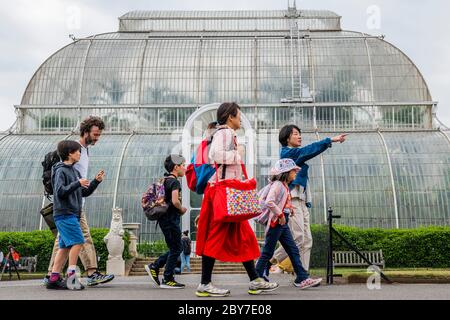 Londres, Royaume-Uni. 09e juin 2020. Les jardins de Kew rouvrent pour rendre visite à un nombre limité de personnes. Les visiteurs doivent réserver des billets d'entrée à heures, mais peuvent ensuite rester toute la journée. L'atténuation du « verrouillage » se poursuit pour l'épidémie de coronavirus (Covid 19) à Londres. Crédit : Guy Bell/Alay Live News Banque D'Images