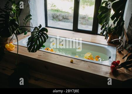 Jouets pour enfants sous forme de canetons et flamants flamants dans la baignoire pleine d'eau pour le bain de bébé sur fond de plantes de maison. Banque D'Images