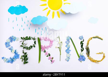 Printemps mot fait de fleurs et d'herbes sur fond blanc. Composition florale créative printanière. Printemps, météo, artisanat. Flat lay, vue de dessus Banque D'Images