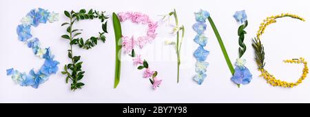 Printemps mot fait de fleurs et d'herbes sur fond blanc. Composition des fleurs de printemps. Texture florale créative. Printemps, humeur, concept artisanal. Plat Banque D'Images