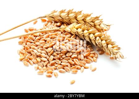 deux épis de blé sur un tas de grain, fond blanc Banque D'Images