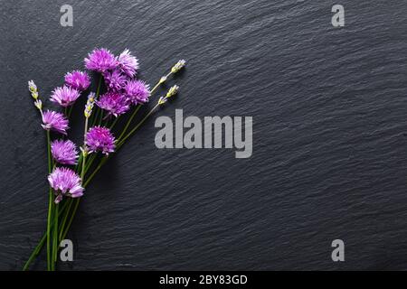 Concept de fond pour la publicité de nourriture ou de beauté par les fleurs de ciboulette et les plantes aromatiques dans sur le panneau de pierre d'ardoise noire avec espace de copie Banque D'Images