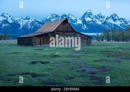 États-Unis, montagnes Rocheuses, Wyoming, Parc national de Grand Teton, la grange T. A. Molton Barn est une grange historique située dans le quartier historique de Mormon Row, à Teton C. Banque D'Images