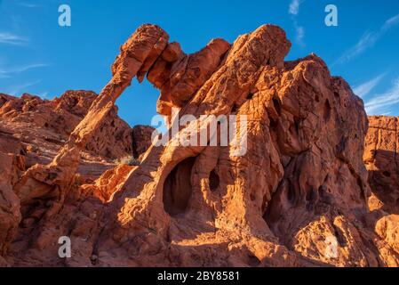 États-Unis, Sud-Ouest, Nevada, Vallée de feu, Parc d'État, vague de feu Banque D'Images