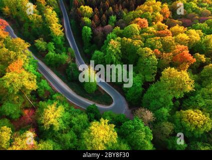 Paysage aérien coloré tourné vers le bas avec la vue d'un virage de route dans une belle forêt avec des arbres à feuilles caduques