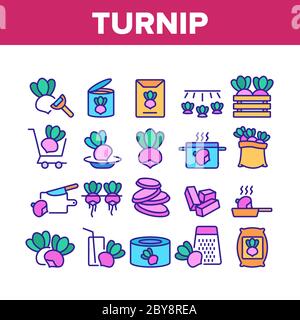 Vecteur de jeu d'icônes de légumes agricoles de navet Illustration de Vecteur