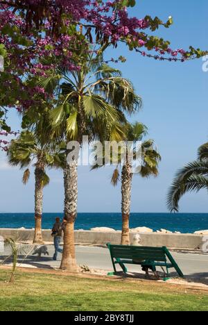Promenade en front de mer, Limassol, Chypre (Sud) Banque D'Images