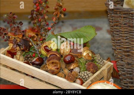 Automne coloré Banque D'Images