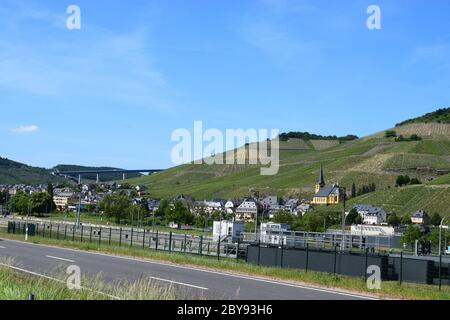 Village de Mosel Zeltingen-Rachtig avec vignobles Banque D'Images