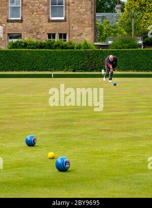 Homme jouant des boules sur le terrain de bowling, Haddington Bowling Club, East Lothian, Écosse, Royaume-Uni Banque D'Images