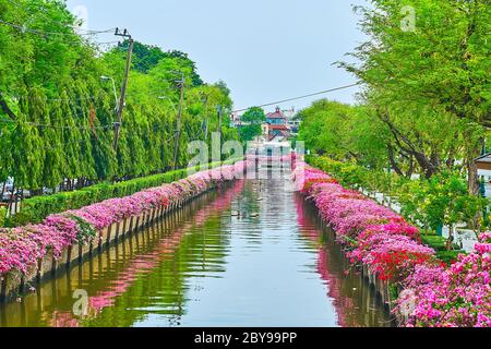 L'étroit canal Khlong Prem Prachakon est entouré d'arbres verts luxuriants et de buissons bougainvilliers fleuris, Bangkok, Thaïlande Banque D'Images