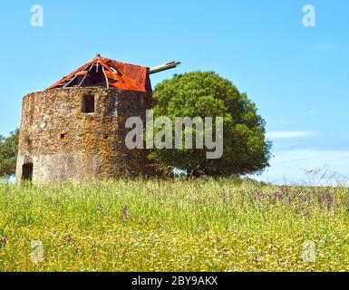 Magnifique alentejo au Portugal avec un vieux moulin à vent et un toit rouge près d'Odeceixe Banque D'Images