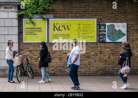 Londres, Royaume-Uni. 09e juin 2020. Les jardins de Kew rouvrent pour rendre visite à un nombre limité de personnes. Les visiteurs doivent réserver des billets d'entrée à heures, mais peuvent ensuite rester toute la journée. L'atténuation du « verrouillage » se poursuit pour l'épidémie de coronavirus (Covid 19) à Londres. Crédit : Guy Bell/Alay Live News Banque D'Images