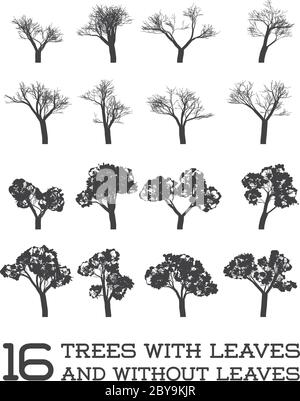 Ensemble d'arbres vectoriels en silhouettes, noir et blanc, avec et sans feuilles Illustration de Vecteur