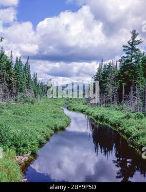 Petit ruisseau en été dans les montagnes Adirondack de l'État de New York Banque D'Images