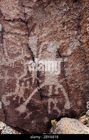 NM00640-00...NOUVEAU MEXIQUE - pétroglyphes dans le style Rio Grande alomg la Mesa Trail, Boca Negra Canyon, Petroglyph National Monument. Banque D'Images