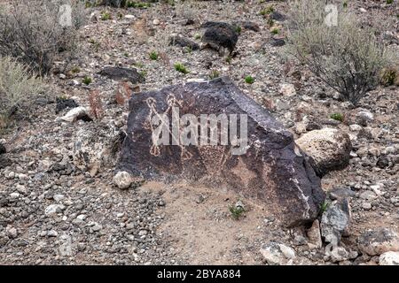 NM00641-00...NOUVEAU MEXIQUE - pétroglyphes dans le style Rio Grande alomg la Mesa Trail, Boca Negra Canyon, Petroglyph National Monument. Banque D'Images