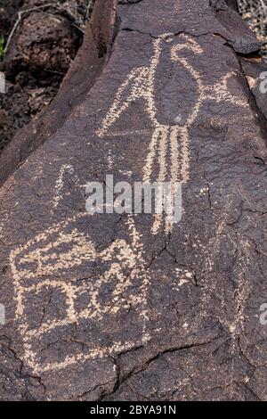 NM00644-00...NOUVEAU MEXIQUE - pétroglyphes dans le style Rio Grande à Boca Negra Canyon, monument national de Petroglyphe. Banque D'Images