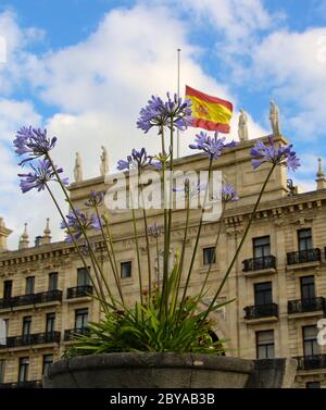 Bâtiment de siège d'origine de la banque Santander Banco de Santander drapeau national espagnol à mi-mât vu à travers Agapanthus africanus fleurs Espagne Banque D'Images