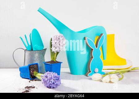 Bottes en caoutchouc jaune et bleu arrosoir avec un bouquet de fleurs de tulipes blanches et roses sur fond blanc. Les accessoires de jardin. Banque D'Images