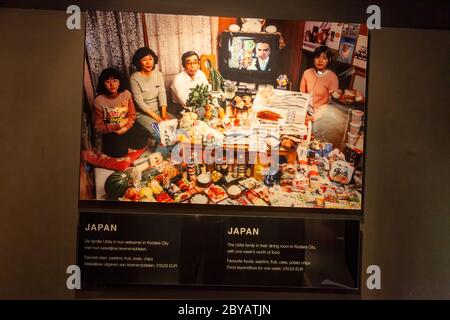 La gestion alimentaire dans l'exposition d'images à Amsterdam, pays-Bas Banque D'Images