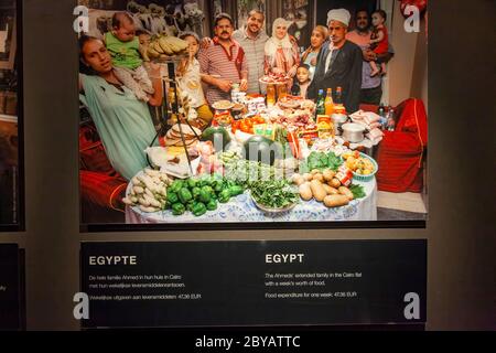 La gestion alimentaire dans l'exposition d'images à Amsterdam, pays-Bas Banque D'Images
