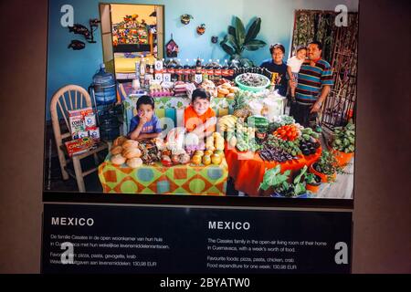 La gestion alimentaire dans l'exposition d'images à Amsterdam, pays-Bas Banque D'Images