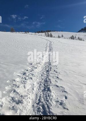 Val Maira, Piémont - Italie ; paysage de montagne enneigée avec pile de bois de chauffage Banque D'Images